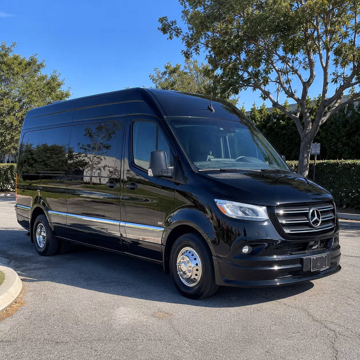 bridal party sprinter vans and party buses for the celebration before the ceremony